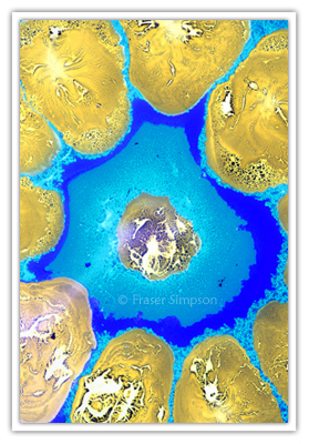 excerpt280710032 � 2010 Fraser Simpson