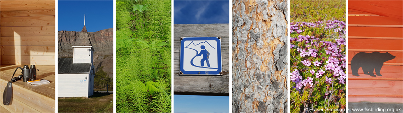 Lapland Textures  � Fraser Simpson