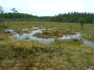 Pyha Hakki National Park