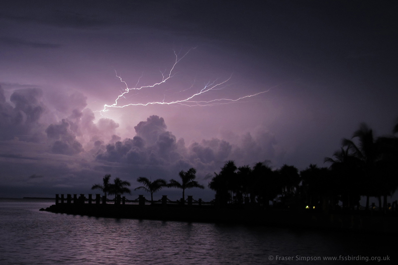 Electrical Storm, Summerland Key � Fraser Simpson