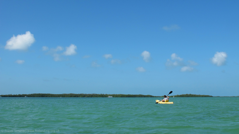 On the way to Lower Sugarloaf Key � Fraser Simpson  2014