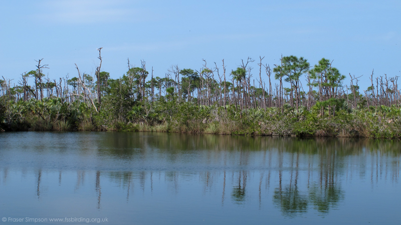 Blue Hole, Big Pine Key � Fraser Simpson 2016