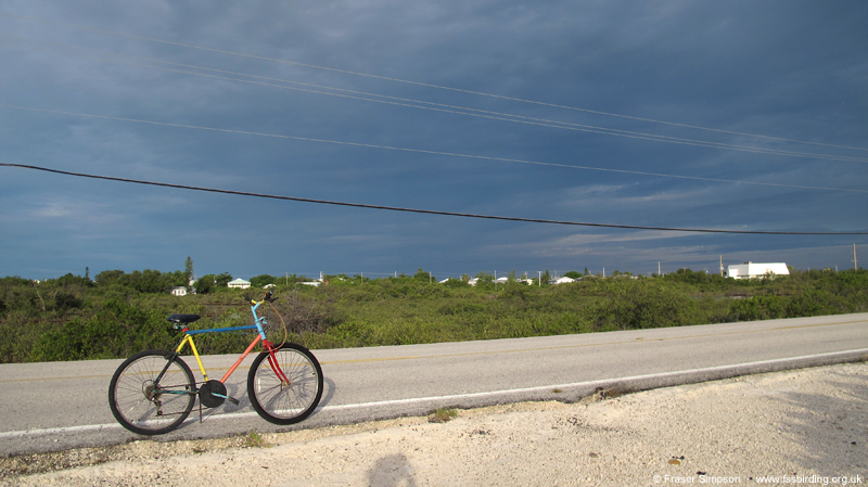 East Shore Drive lagoon, Summerland Key � Fraser Simpson