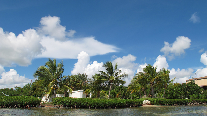 Summerland Key � Fraser Simpson 2015