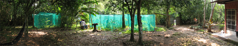 Garden, Sector Achual