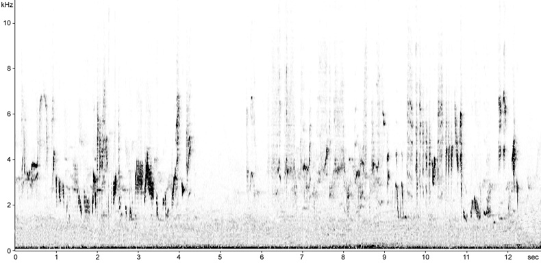 Sonogram of Garden Warbler song