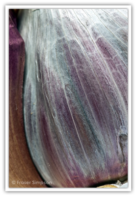 Garlic Clove  2010 Fraser Simpson