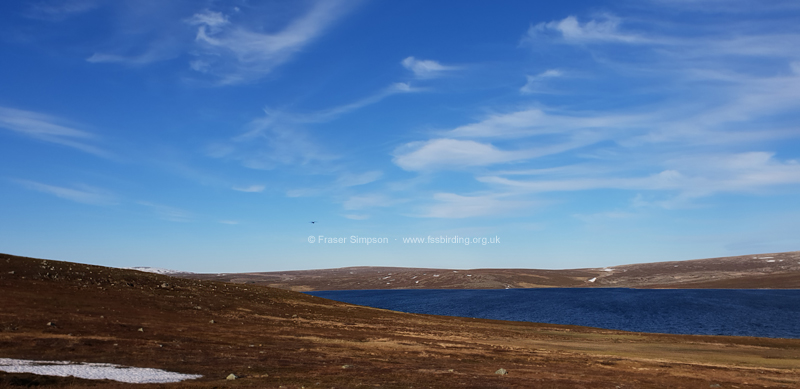 Geatnjaj�rvi, Varanger, Norway � Fraser Simpson