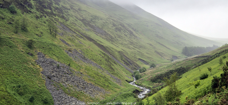 Glenderaterra Beck & Lonscale Fell � Fraser Simpson 2026