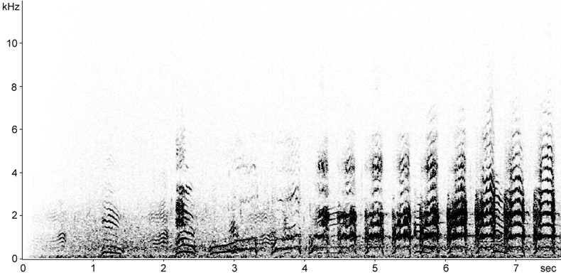 Sonogram of a long call from a Great Black-backed Gull