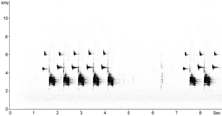 Sonogram of Great Tit song