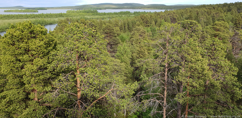 Haapalahti, Finland � Fraser Simpson