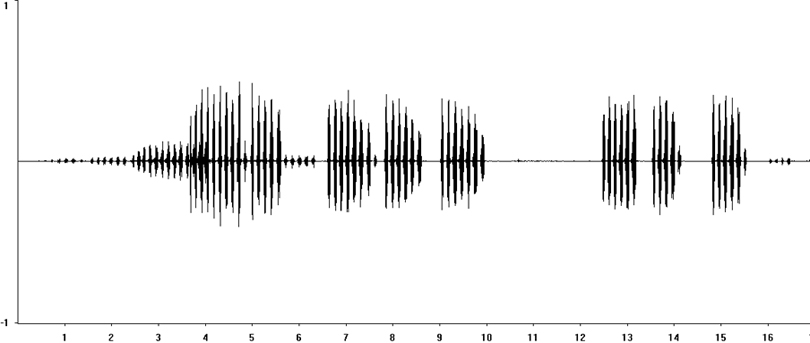 Oscillogram of Heath Grasshopper stridulation