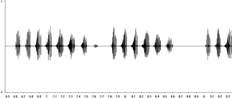 Oscillogram of Heath Grasshopper stridulation