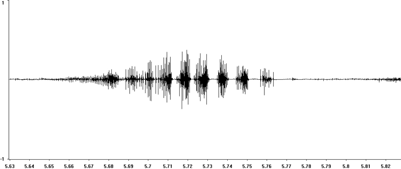 Oscillogram of Heath Grasshopper stridulation