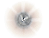 Heron Radial Blur
