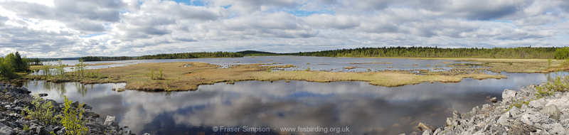 Hestefossdammen � Fraser Simpson