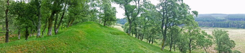 Birch slopes, Glen Brerachan  Fraser Simpson 