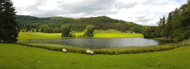 Straloch Loch  Fraser Simpson 