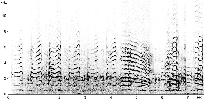 Sonogram of Kittiwake calls