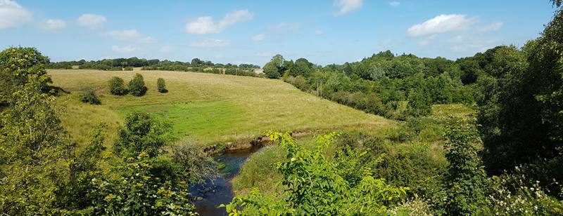 Point 1. View from bridge over Carmel Water: Warblers, Long-tailed Tit, Bullfinch, Great Spotted Woodpecker, Buzzard, Song Thrush, etc. (Knockentiber-Springside disused railway line)  Fraser Simpson