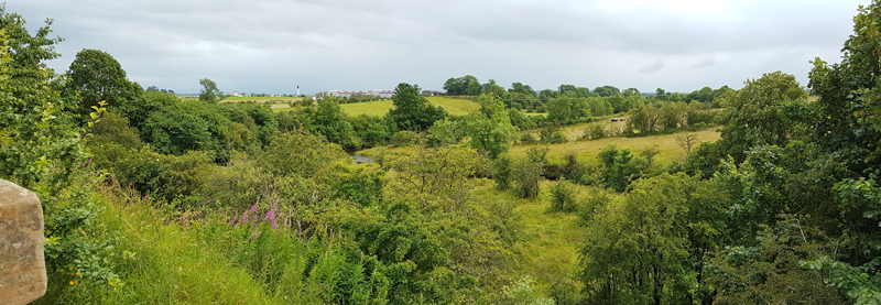 Point 1. View from bridge over Carmel Water: Warblers, Long-tailed Tit, Bullfinch, Great Spotted Woodpecker, Buzzard, Song Thrush, etc. (Knockentiber-Springside disused railway line)  Fraser Simpson