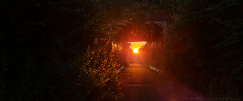 unset, Knockentiber-Springside disused railway line, Ayrshire, Scotland � Fraser Simpson