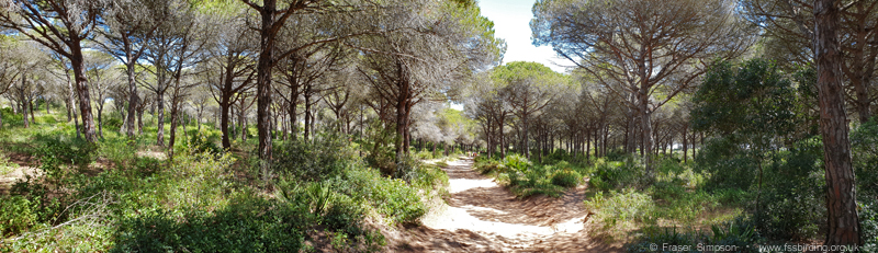 La Bre�a de Barbate � Fraser Simpson