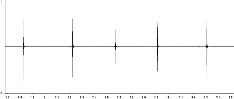 Oscillogram of Large Marsh Grasshopper stridulation