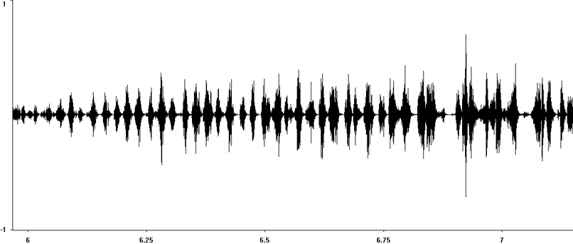 Oscillogram of Lesser Marsh Grasshopper calling song stridulation [lessermarshgrasshopper117352capcut2]