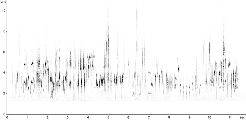 Sonogram of Lesser Whitethroat song
