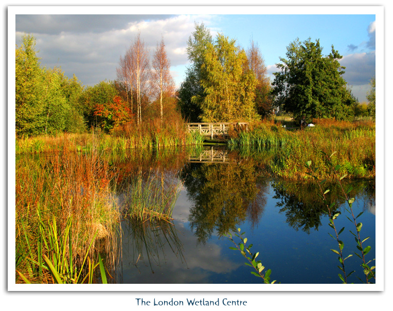 London Wetland Centre © 2007 Fraser Simpson