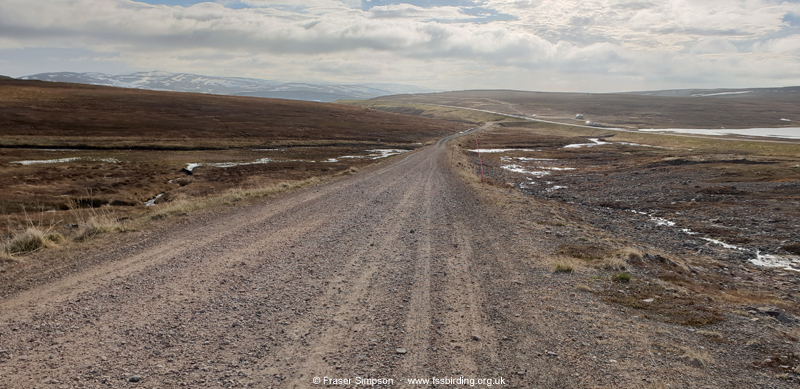 Magistervatnet area � Fraser Simpson