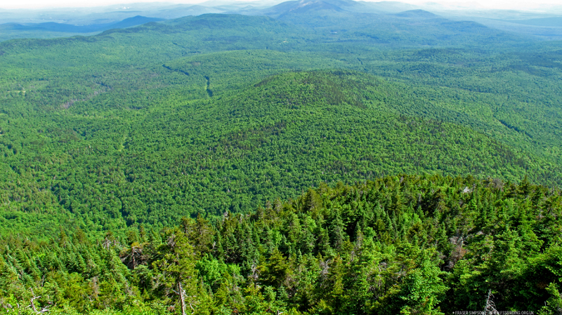 View from the peak of Mount Blue � Fraser Simpson  �  www.fssbirding.org.uk