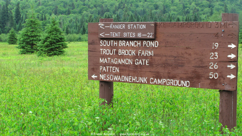 Nesowadnehunk Field � Fraser Simpson  �  www.fssbirding.org.uk