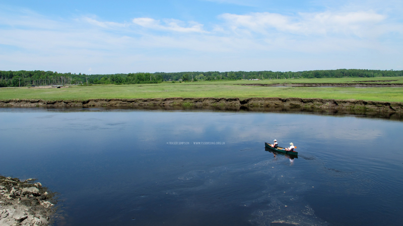 Dunstan River, Scarborough Marsh � Fraser Simpson  �  www.fssbirding.org.uk