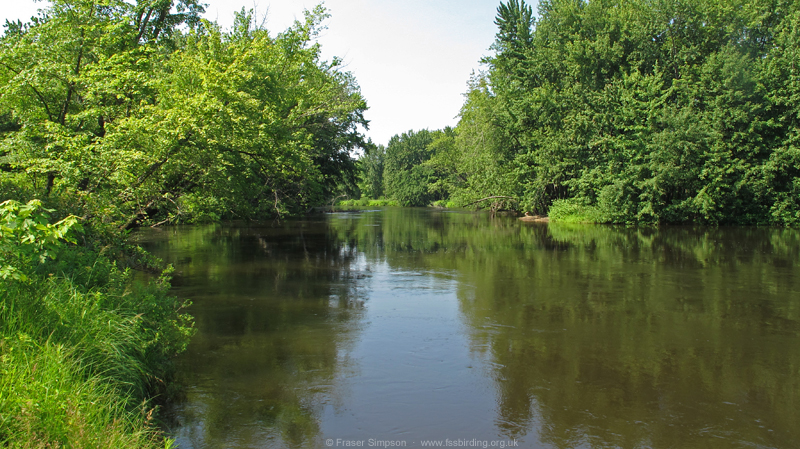 Oxbow, Brownfield Bog � Fraser Simpson  �  www.fssbirding.org.uk