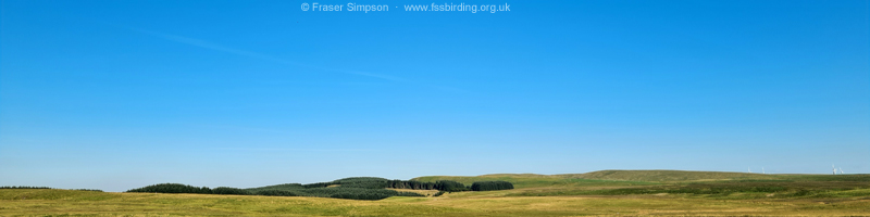 Moorland, Renfrewshire-Ayrshire border � Fraser Simpson