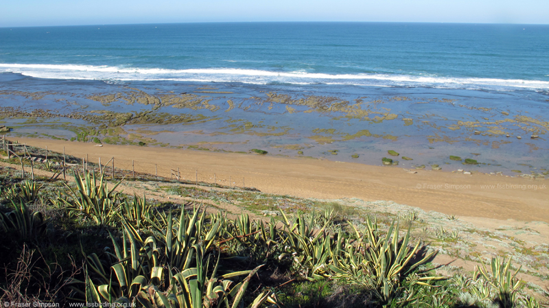 Moulay Boussleham � Fraser Simpson  �  www.fssbirding.org.uk