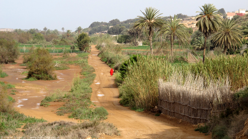 Oued Massa floodplain � Fraser Simpson  �  www.fssbirding.org.uk