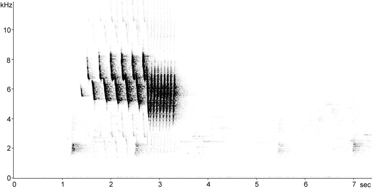 Sonogram of Nashville Warbler song