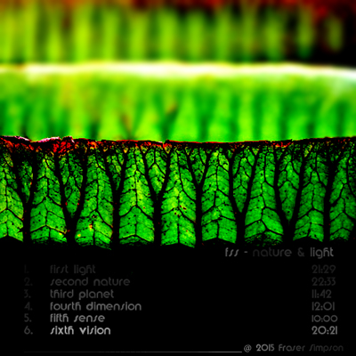 fss | nature & light