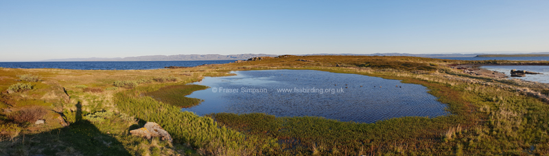Nesseby Nature Reserve � Fraser Simpson