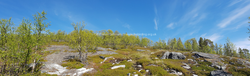 Finnmark, Norway � Fraser Simpson