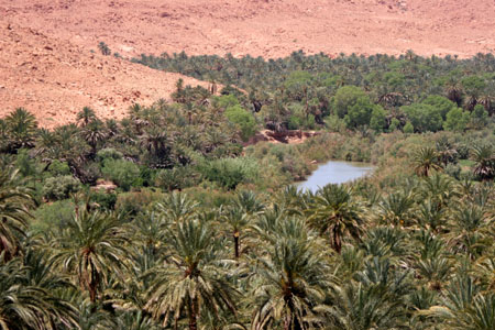 Oued Ziz, Morocco  2007, Fraser Simpson