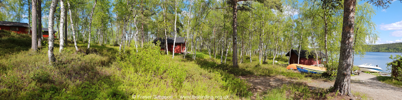 �vre Pasvik Camping, Vaggatem � Fraser Simpson