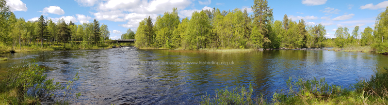 �vre Pasvik Camping, Vaggatem � Fraser Simpson