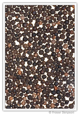 Peppercorns � 2010 Fraser Simpson
