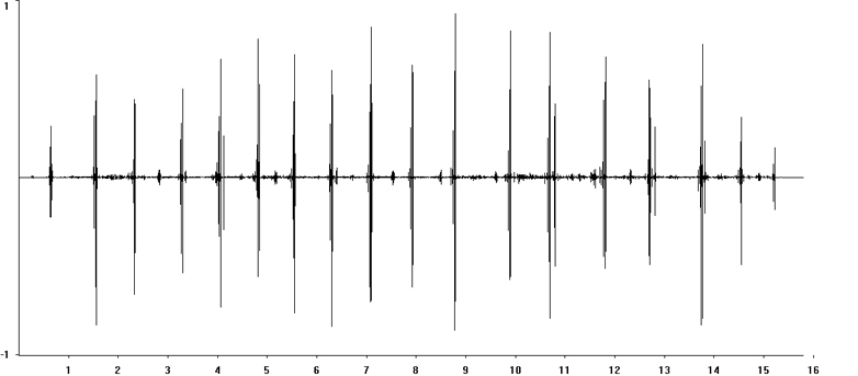 Oscillogram of Southern Sickle-bearing Bush-cricket (Phaneroptera nana) stridulation [phaneropteranana112886cut]