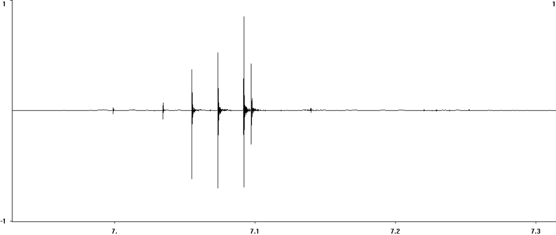 Oscillogram of Southern Sickle-bearing Bush-cricket (Phaneroptera nana) stridulation [phaneropteranana112886cut]
